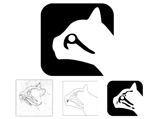 Icon sketch